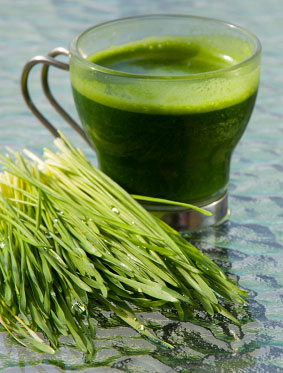 Wheatgrass Smoothie